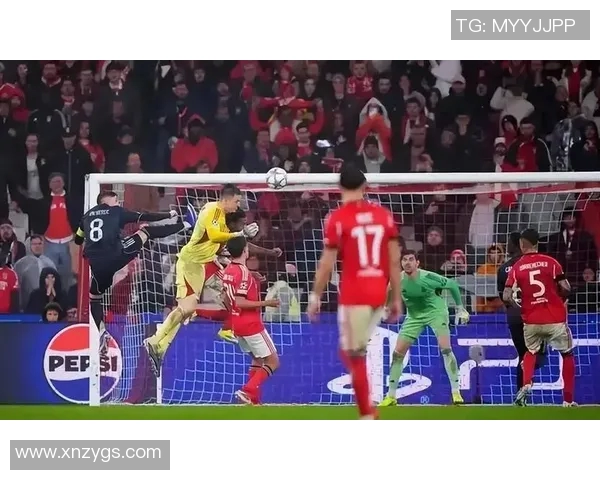 阿维斯主场迎战本菲卡双方争夺积分巅峰对决即将上演